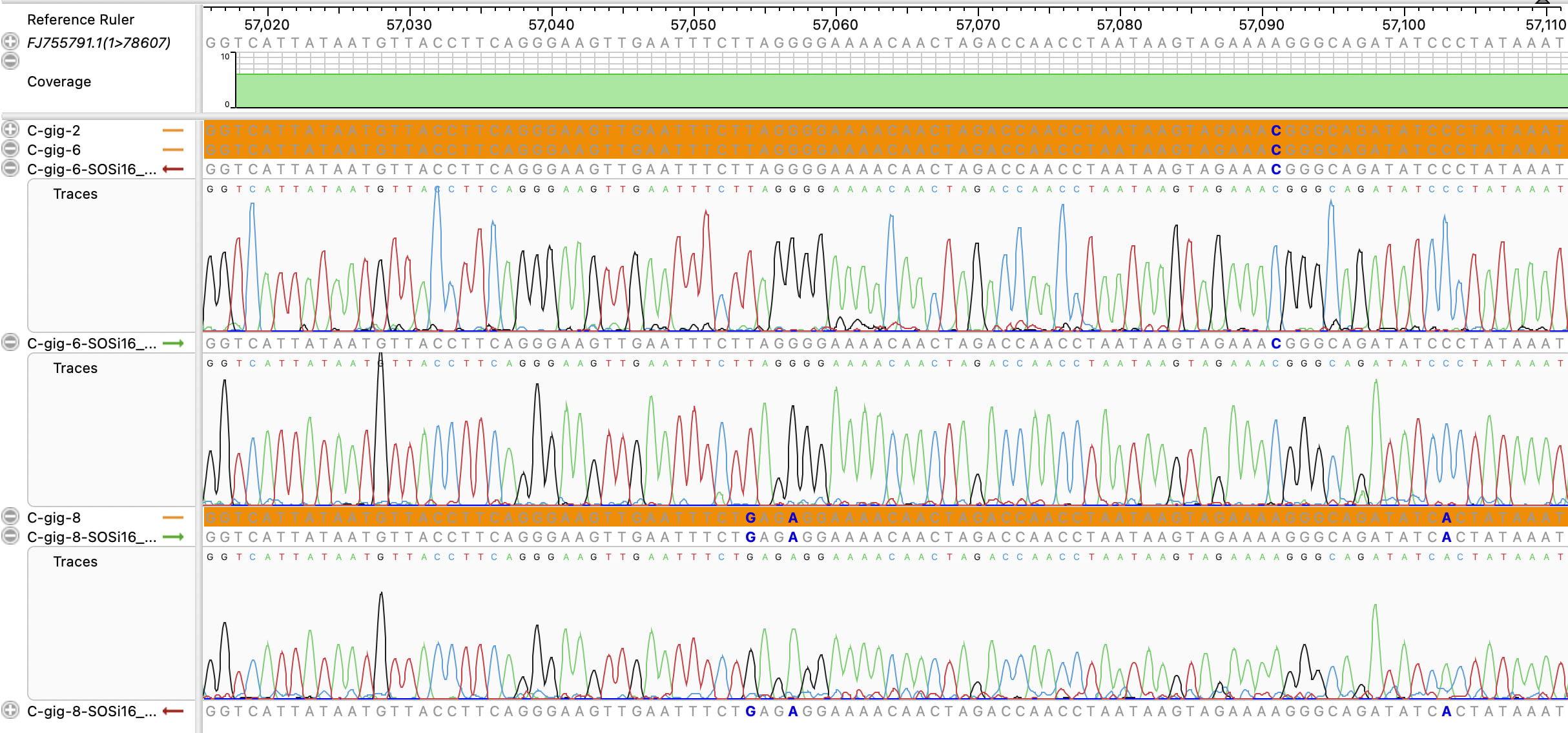 Screenshot_2025-09-16_at_8.25.43_AM_cytqp0